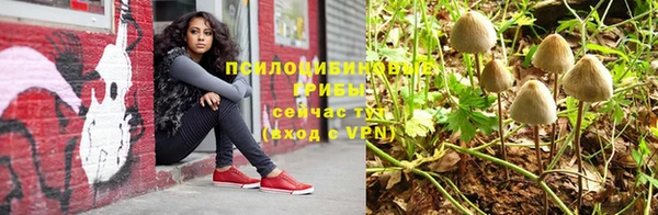 мескалин Алексин